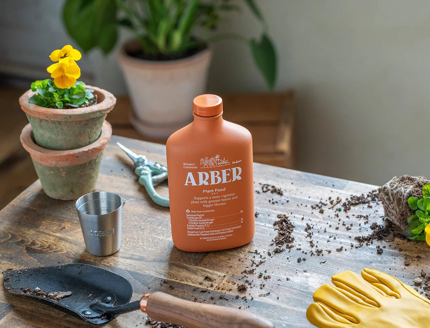 Arber Plant Care
