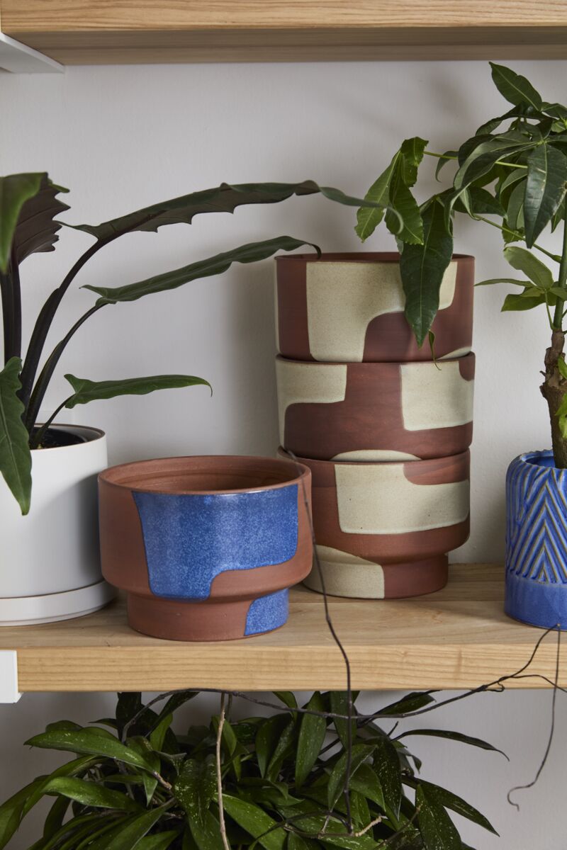Shanti Pot