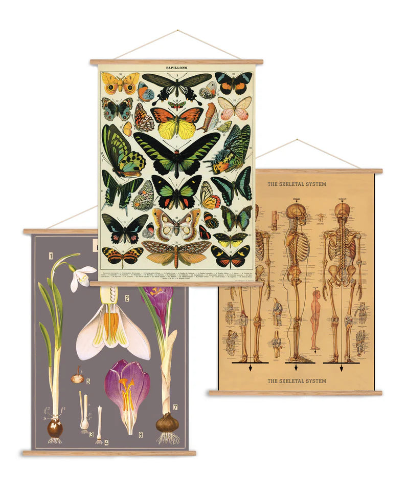 Vintage Poster Kit