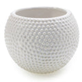 Spotti Pot
