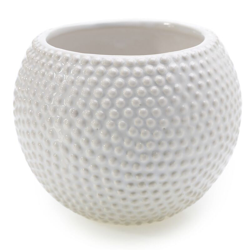 Spotti Pot