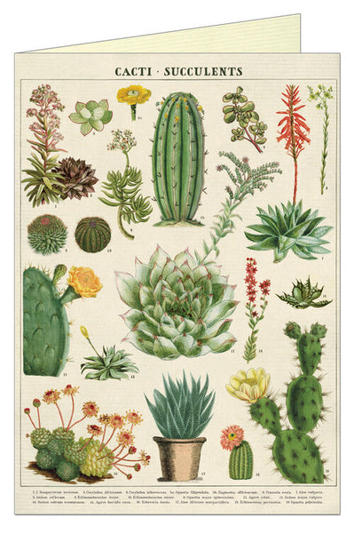 Cavallini Greeting Cards