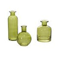 Carlotta Budvases Green