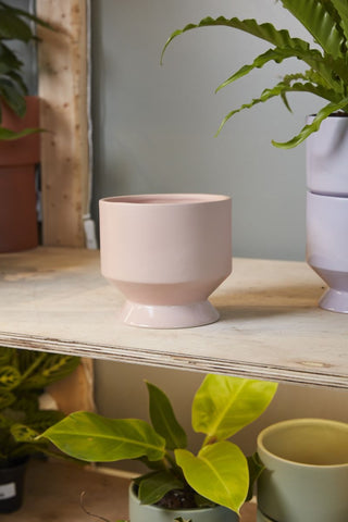 Pasadena pot