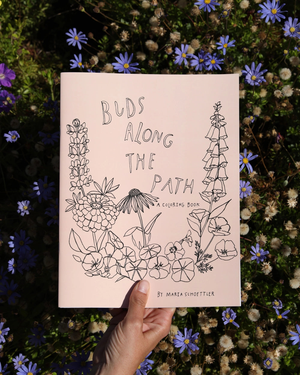 Coloring Books