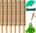Coconut fiber coir pole, 1pc
