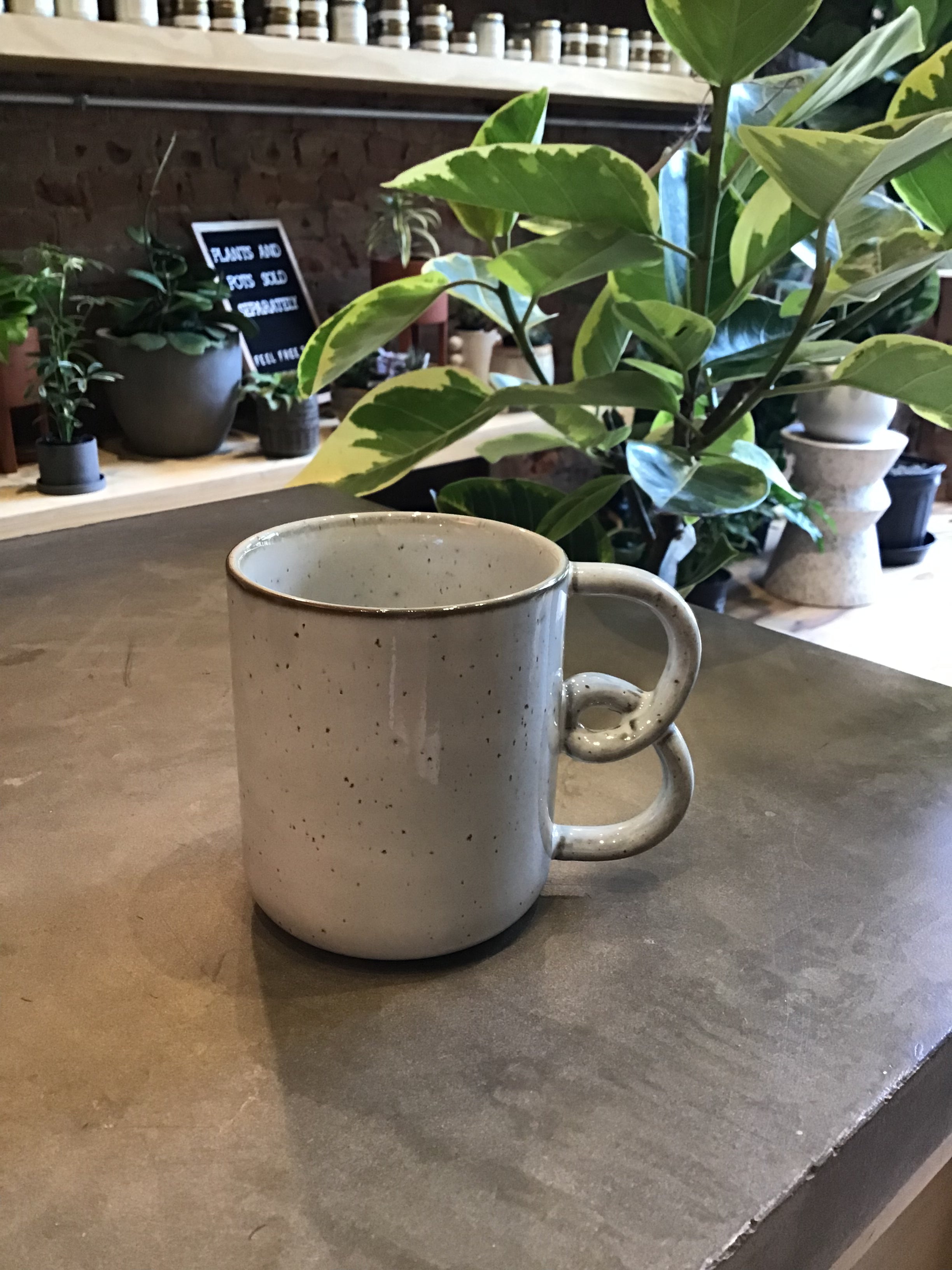 Caturra Mug