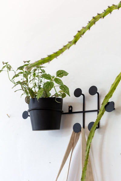 Raven Wall Hanger
