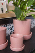 Watson Pot