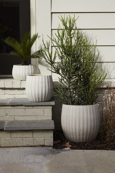 Arid Collection