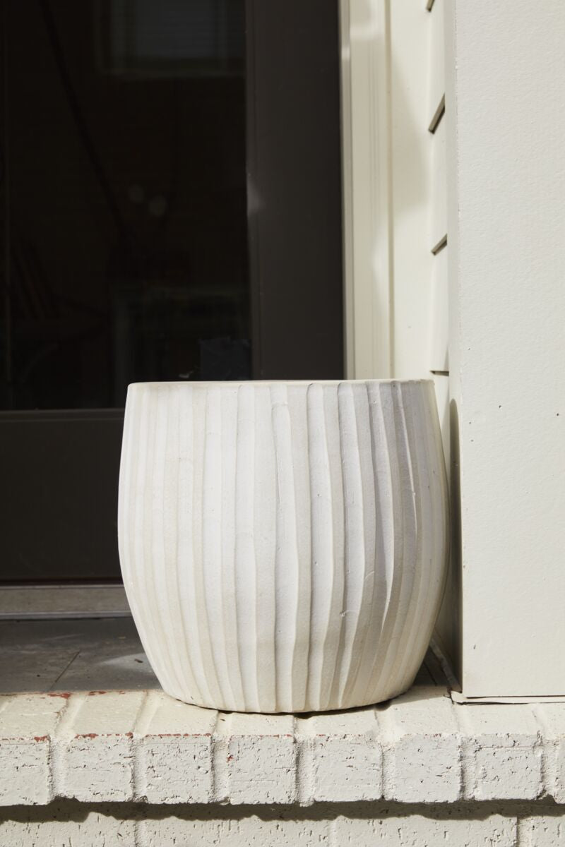 Arid Collection