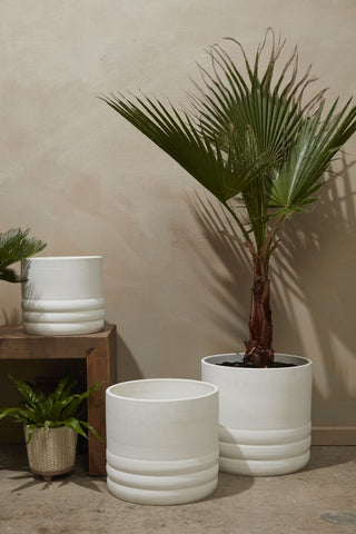 Tirzah pot