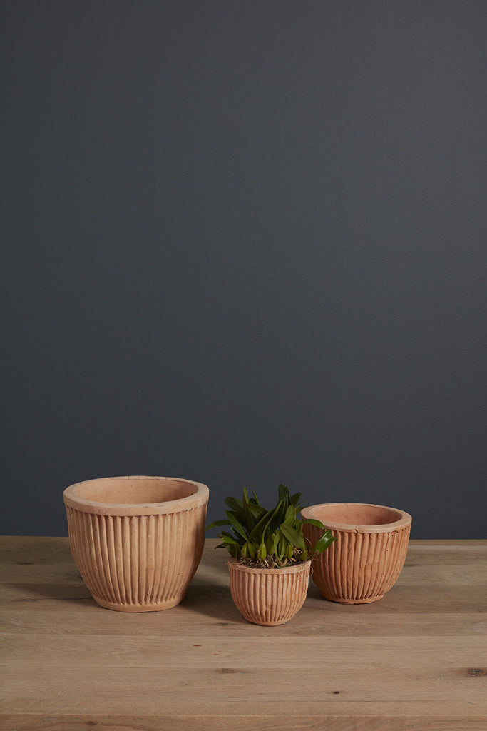 Soto pot GIA AND THE BLOOMS