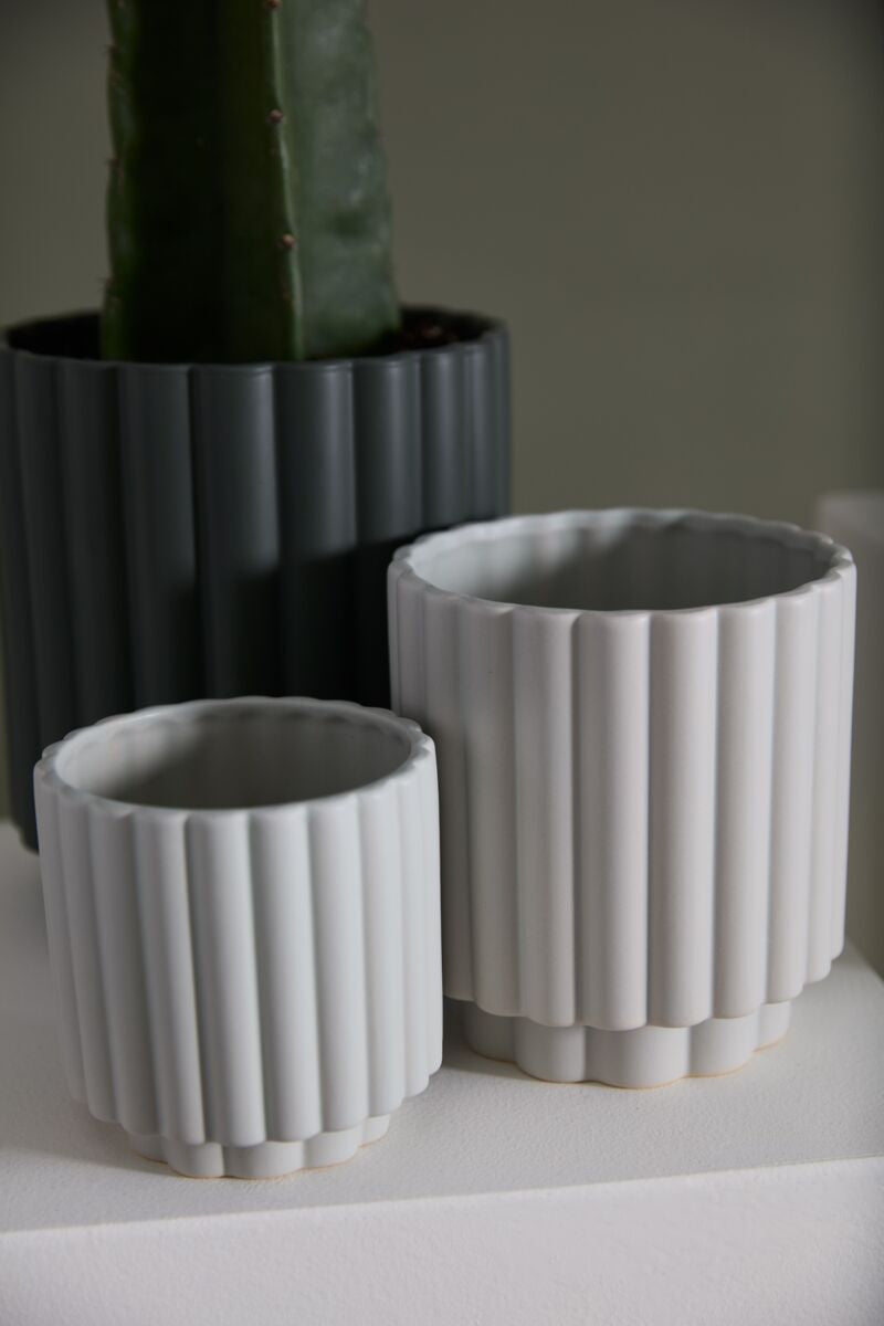 Carmen pot