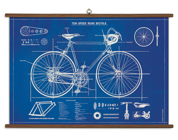 Vintage School Charts