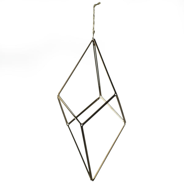 Tillandsia Hanger
