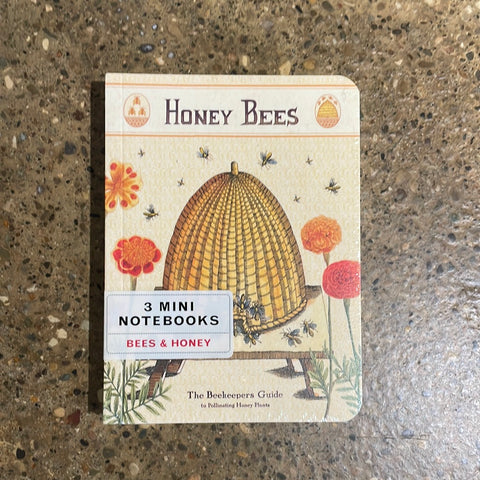 3 Mini Notebooks