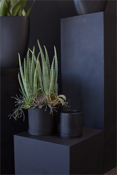Romey Pot