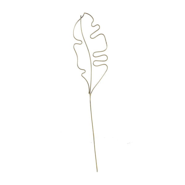 Botanical leaf