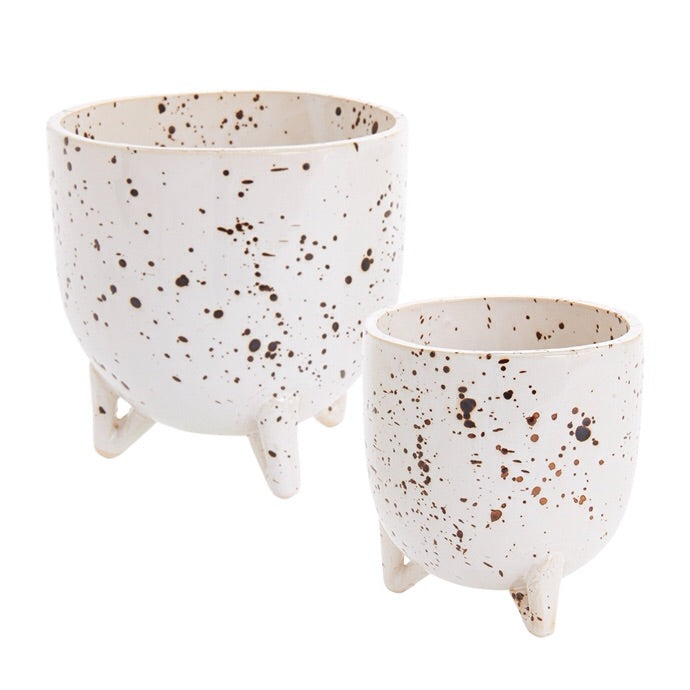 Reid pot