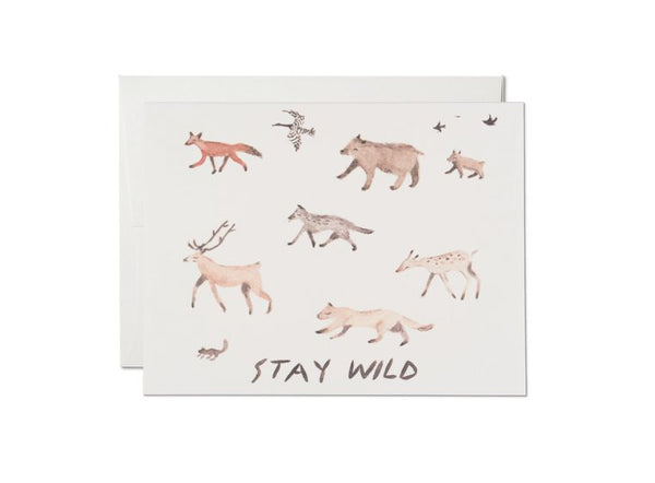Greeting Cards